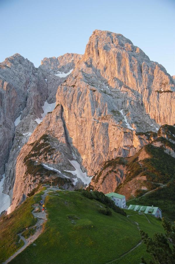 Alpengasthaus Griesner Alm Otel Kirchdorf in Tirol Dış mekan fotoğraf